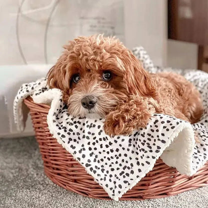 Perro pequeño de pelaje rizado marrón recostado en una cesta de mimbre, con la manta de franela blanca con estampado de manchas negras, luciendo cómodo y relajado.