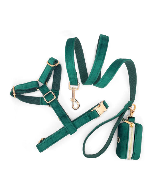 Set de Paseo para perro de Terciopelo Verde