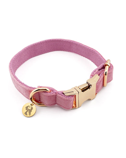 Collar ajustable para perros hecho con terciopelo rosa de alta calidad