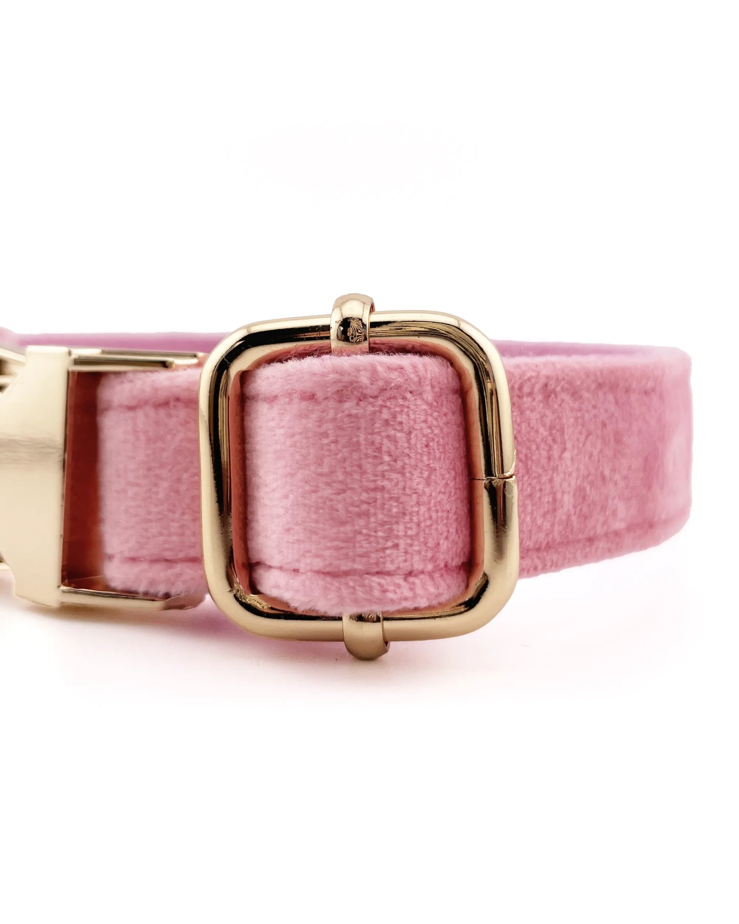 Collar elegante para perros de color rosa con detalles metálicos duraderos