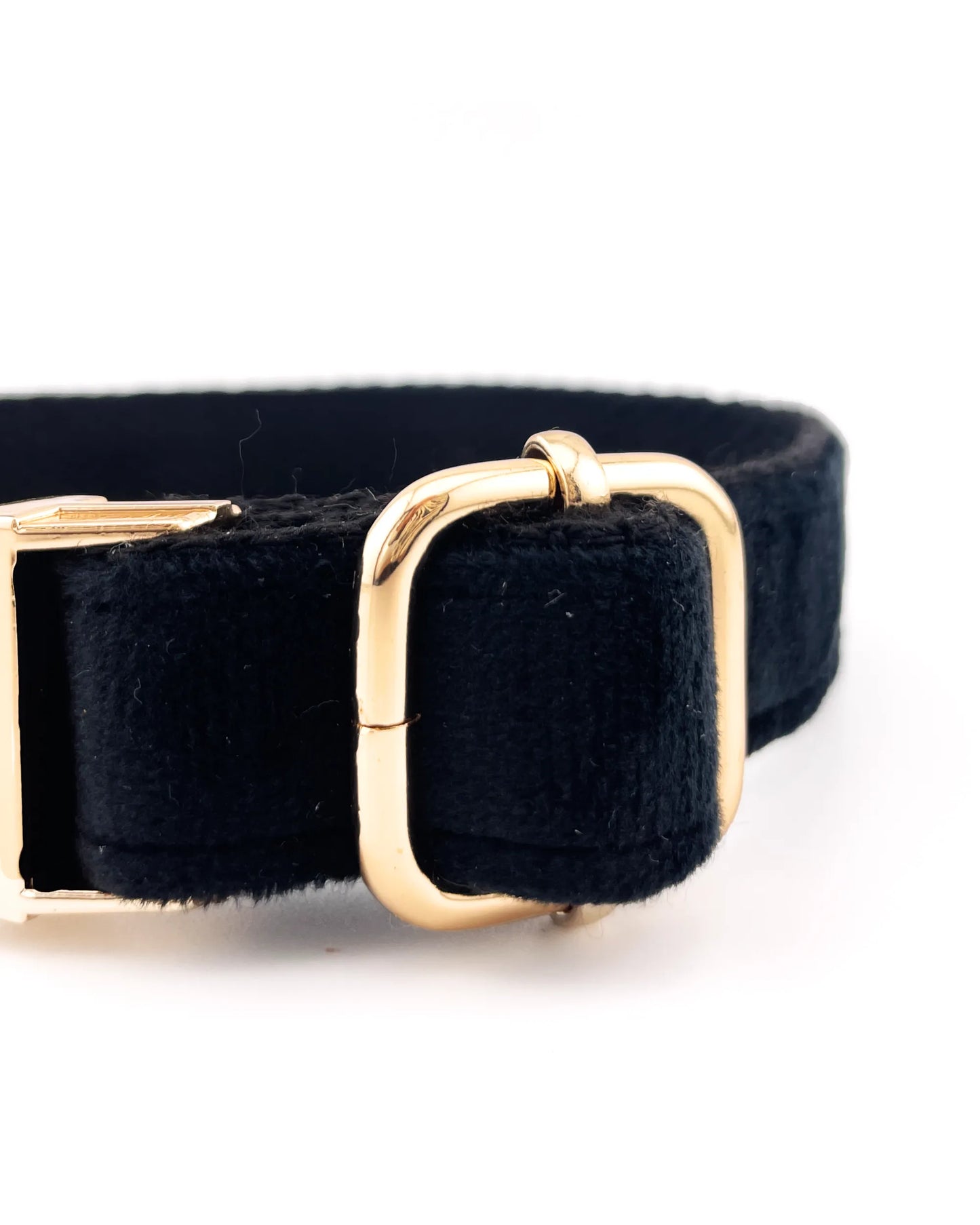 Collar para perros negro con detalles metálicos duraderos y diseño elegante