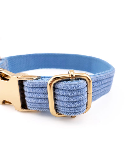 Collar para perros de pana azul con detalles metálicos duraderos y diseño elegante