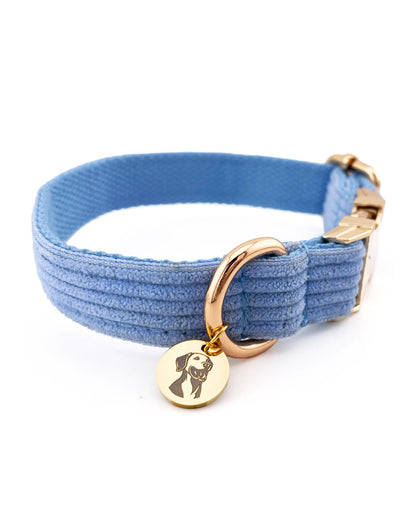 Collar para perros de pana azul ideal para diferentes tamaños y razas