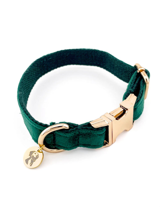 Collar para perros ajustable hecho con terciopelo verde de alta calidad