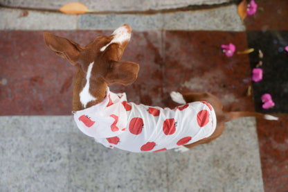 Vista desde arriba de perro llevando impermeable con estampado de manzanas rojas.