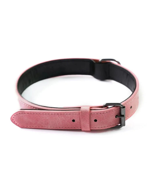 Collar rosa para perros de cuero de microfibra, diseño elegante con interior acolchado negro.