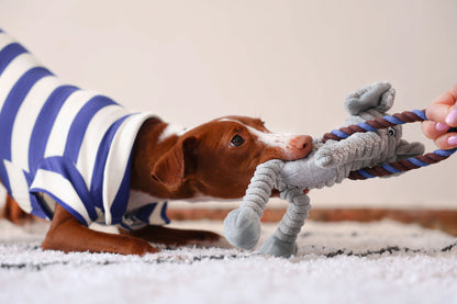 Perro jugando con un juguete de peluche en forma de elefante, mientras lleva puesta una camiseta polo a rayas azules y blancas.