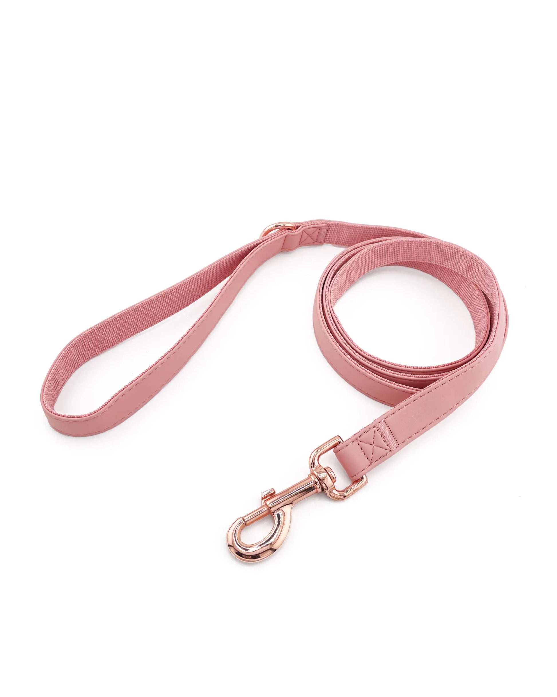 Correa de cuero vegano para perros. Elegante y resistente