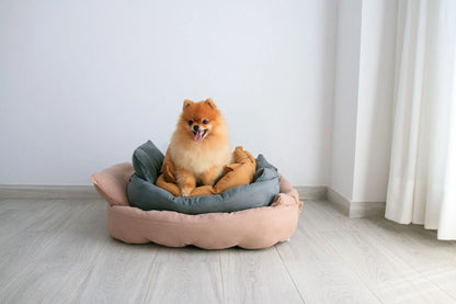 Perro pequeño sentado en una cama color mostaza transformada en su forma de cama elevada.