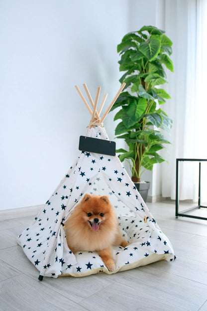 Perro pequeño dentro de la carpa con estampado de estrellas azules en una sala luminosa.