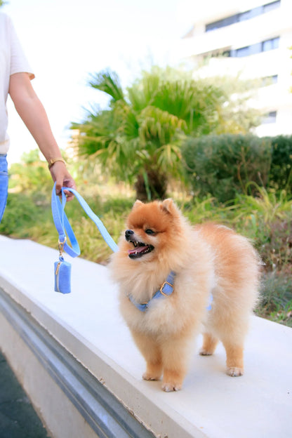 Perro pequeño y esponjoso con un arnés y correa de pana azul, acompañado de un porta bolsas del mismo material. Paseando al aire libre con su dueña.